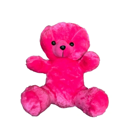 Dark pink Teddy bear